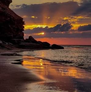 Meet your Posher, Janet